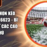 cách chọn kèo bóng đá 6623