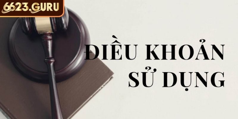 Điều Khoản Sử Dụng 6623 - Hiểu Rõ Để Bảo Vệ Quyền Lợi 1 Độ tuổi tham gia